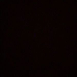 Meet your Posher, Bianca